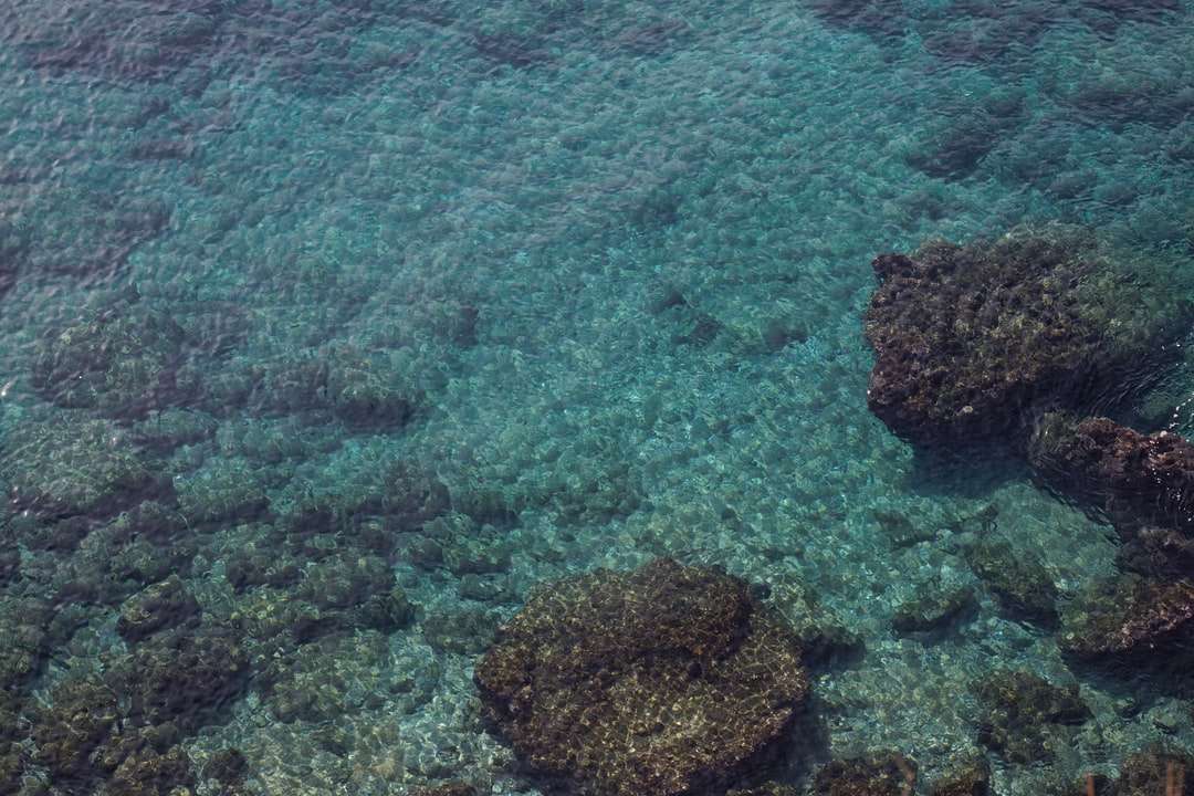 barna sziklák a víztesten nappal kirakós online
