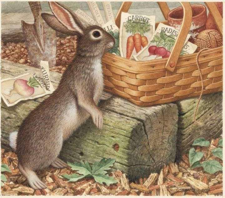 O coelho quer um lanchinho puzzle online