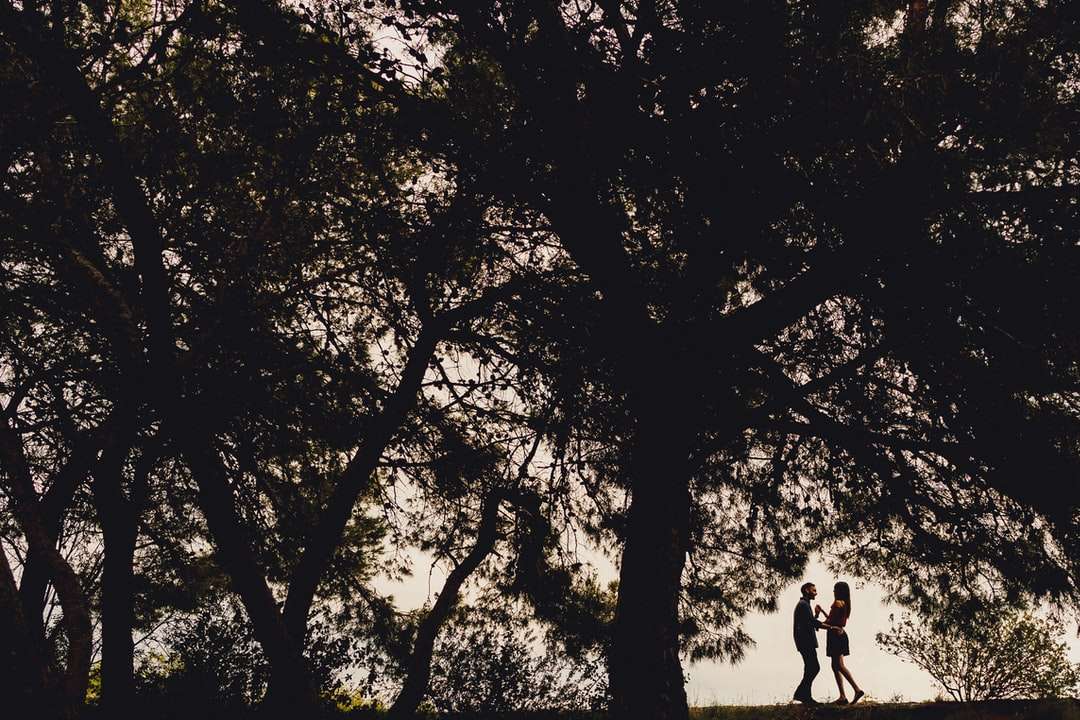 gråskalefoto av man och kvinna som går på vägen pussel på nätet