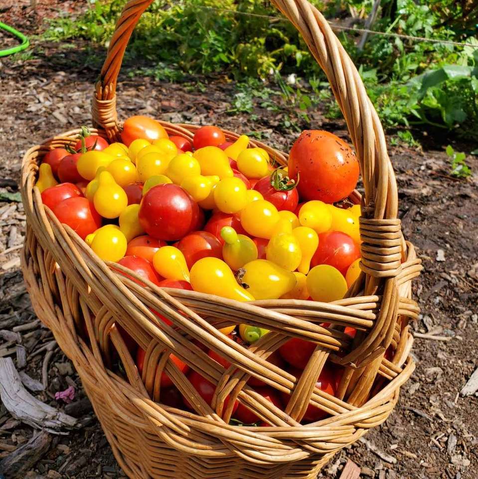 кошница с домати онлайн пъзел