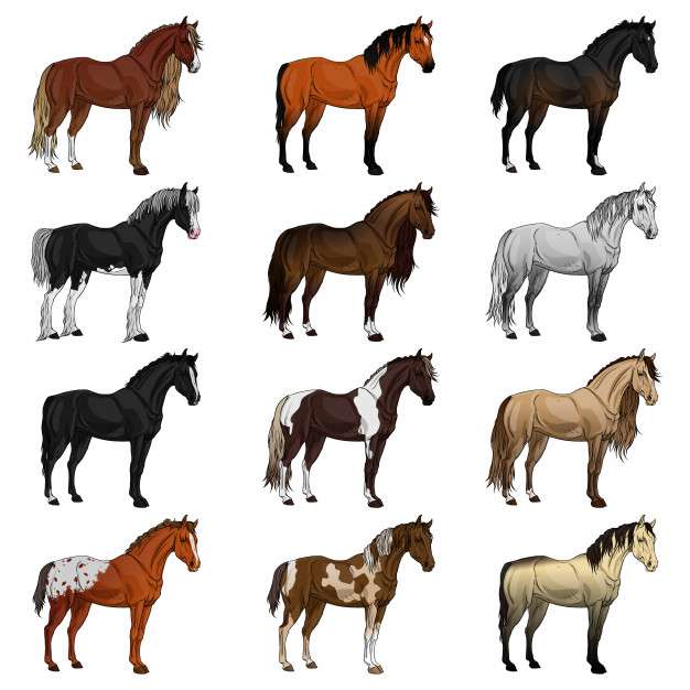 raça de cavalo quebra-cabeças online