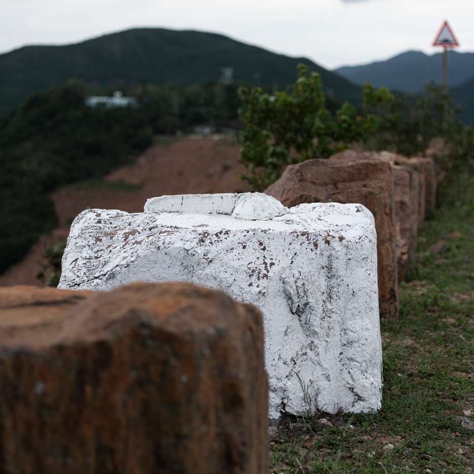 witte betonnen steen op groen grasveld overdag online puzzel