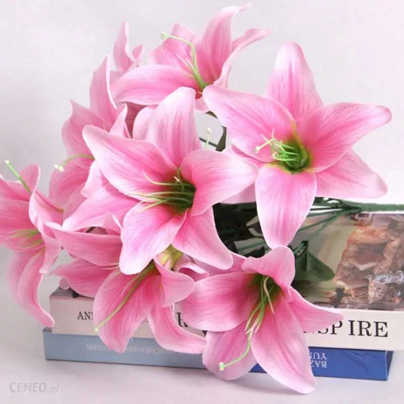 růžové lilie online puzzle