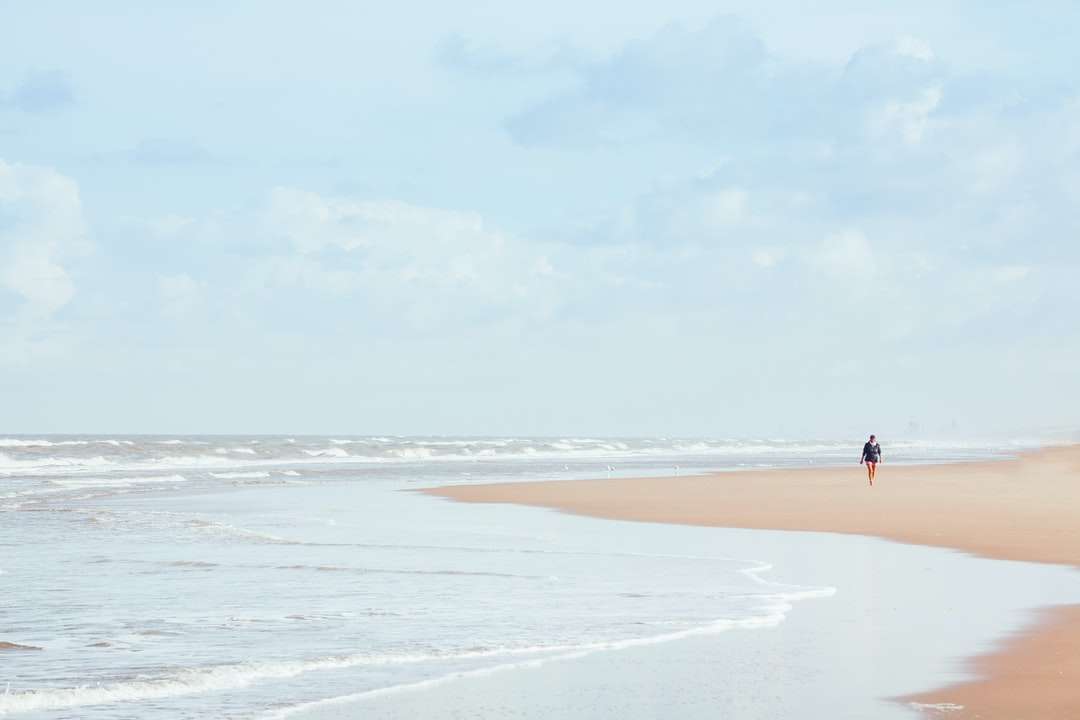 persona che cammina sulla spiaggia durante il giorno puzzle online