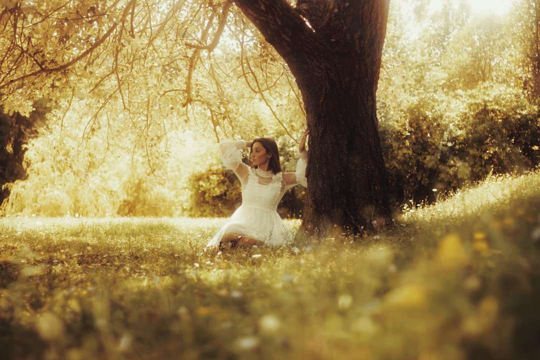 Femme en robe blanche assise sur le champ d'herbe verte puzzle en ligne