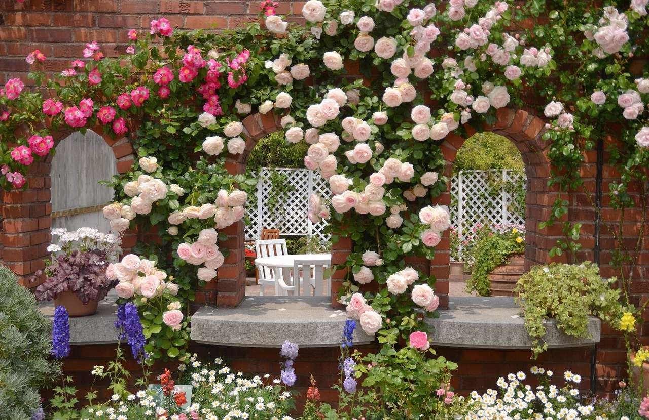 Popínavé růže skládačky online