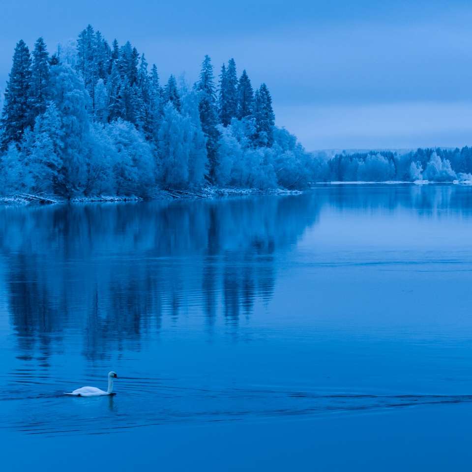 cisne blanco en el lago durante el día rompecabezas en línea