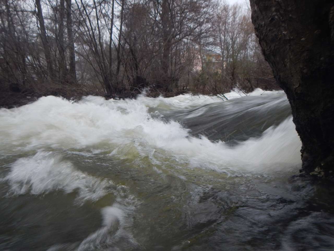 Fluss Tera. Sanabria-Zamora. Puzzlespiel online