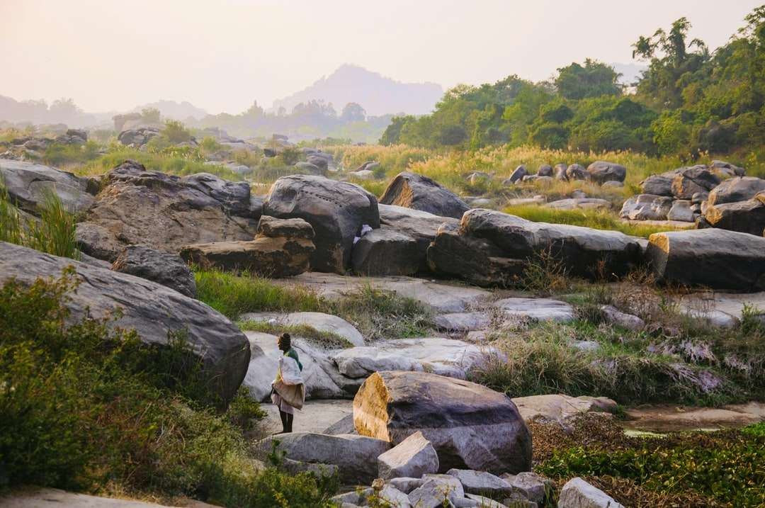 szürke sziklák zöld füves területen napközben kirakós online
