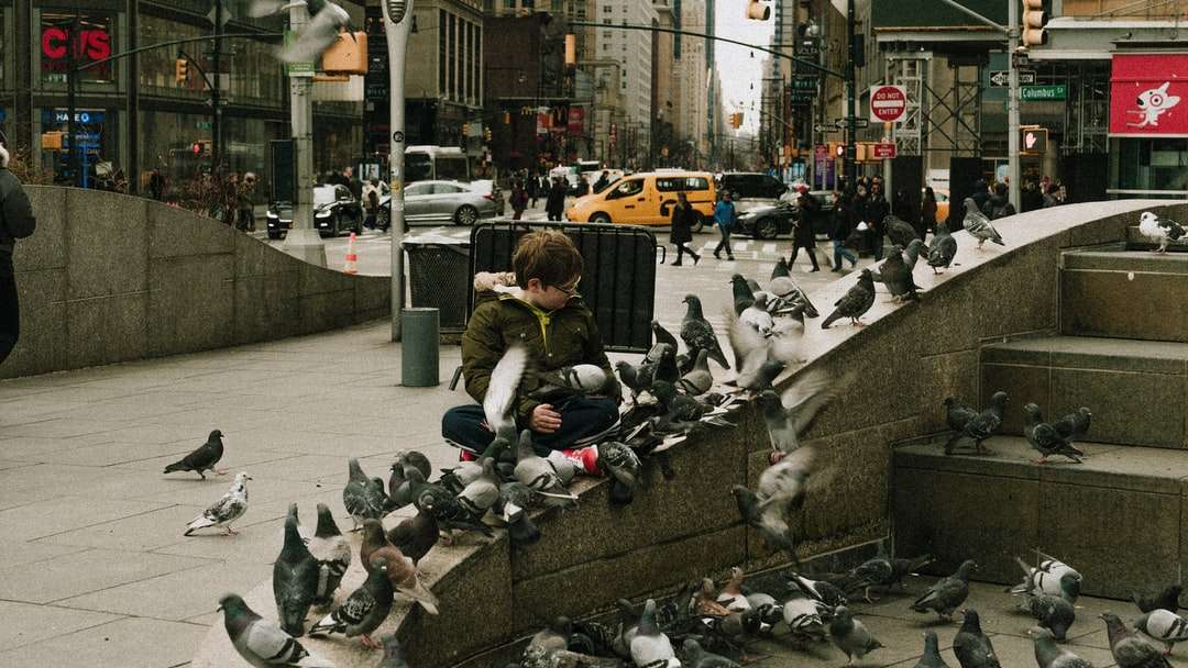 pessoas sentadas na calçada com pombos na rua puzzle online
