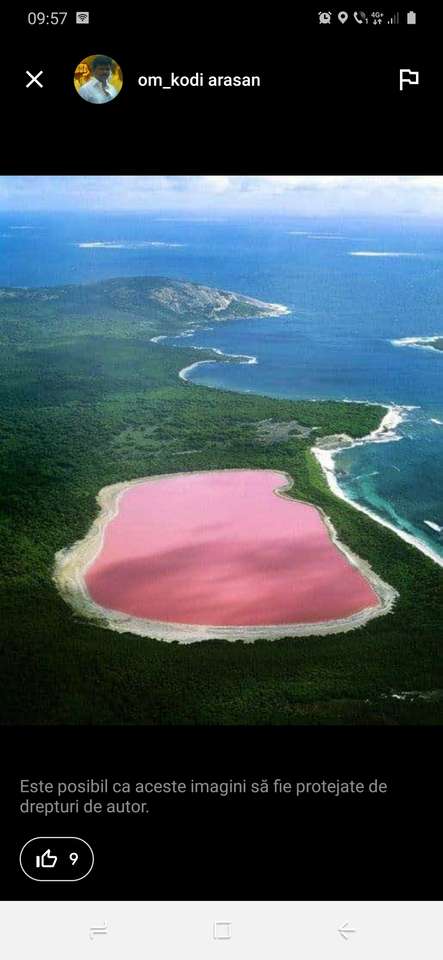 The pink lake! jigsaw puzzle online