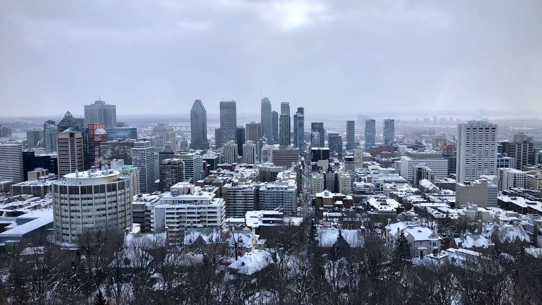 panorama města pod šedou zamračenou oblohou během dne online puzzle