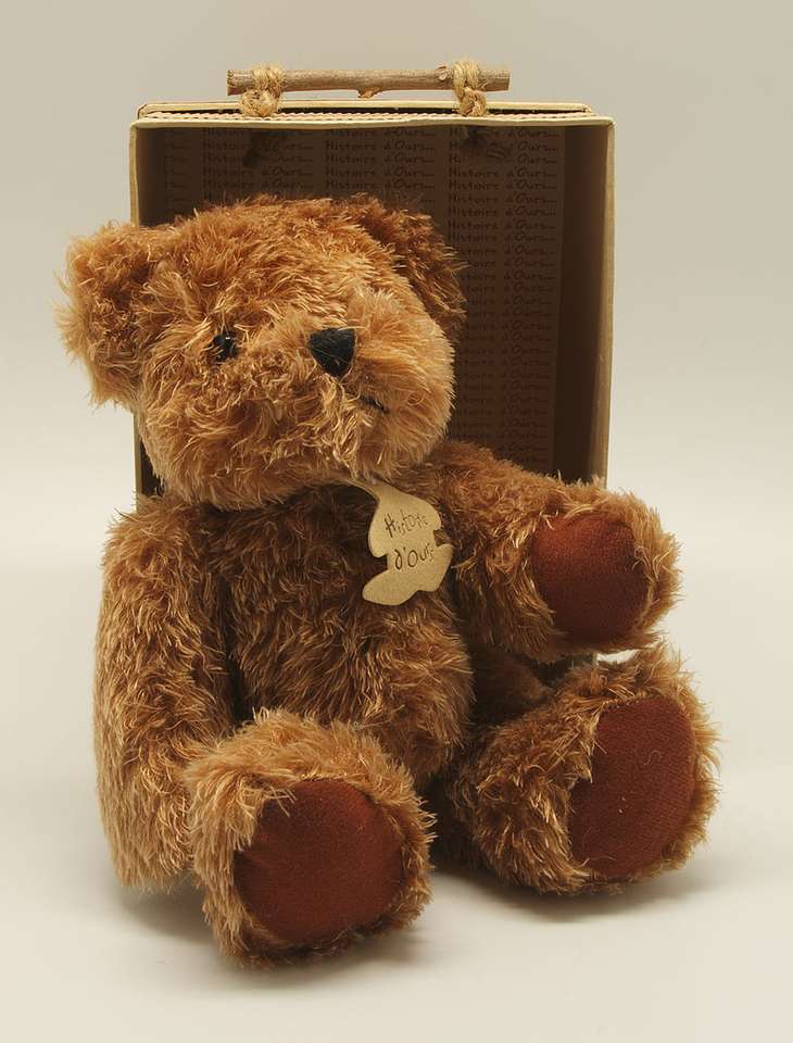 Medvídek (hračka) skládačky online