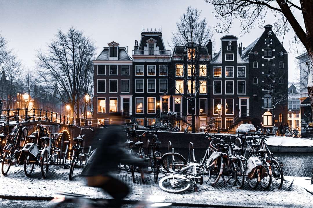 biciclette parcheggiate sulla strada vicino all'edificio durante la notte puzzle online
