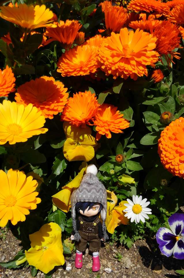 Mitsu în fața unor flori frumoase puzzle online