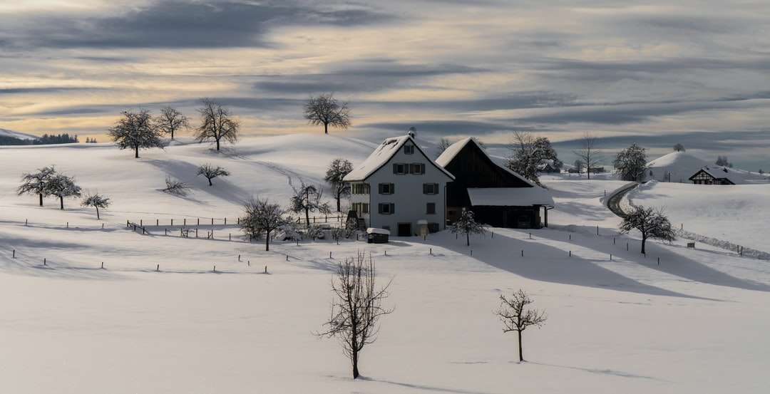 casa de madeira marrom em solo coberto de neve durante o dia quebra-cabeças online