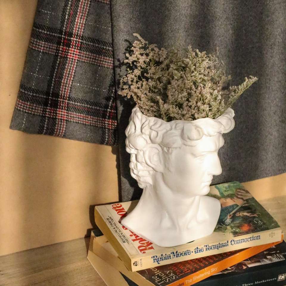 vase en céramique blanche avec plante verte puzzle en ligne