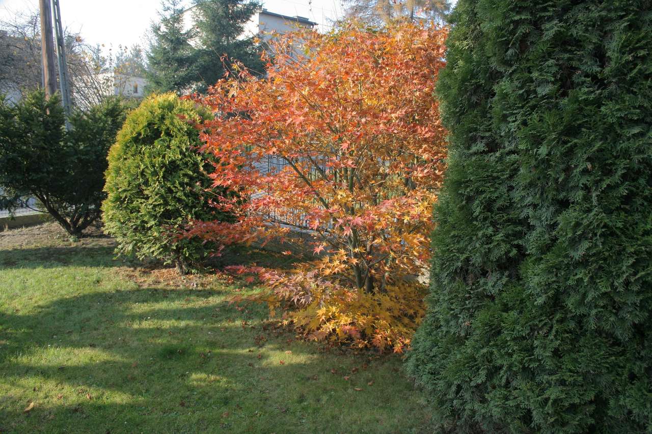Есен в градината онлайн пъзел