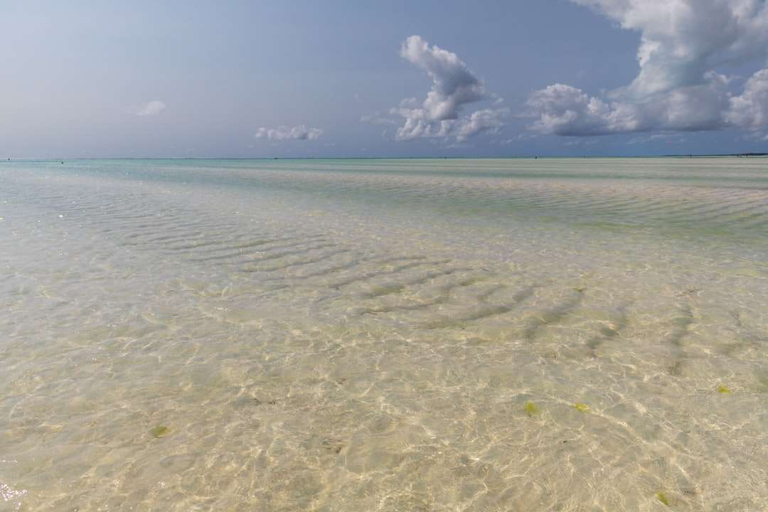 пляж с белым песком днем онлайн-пазл