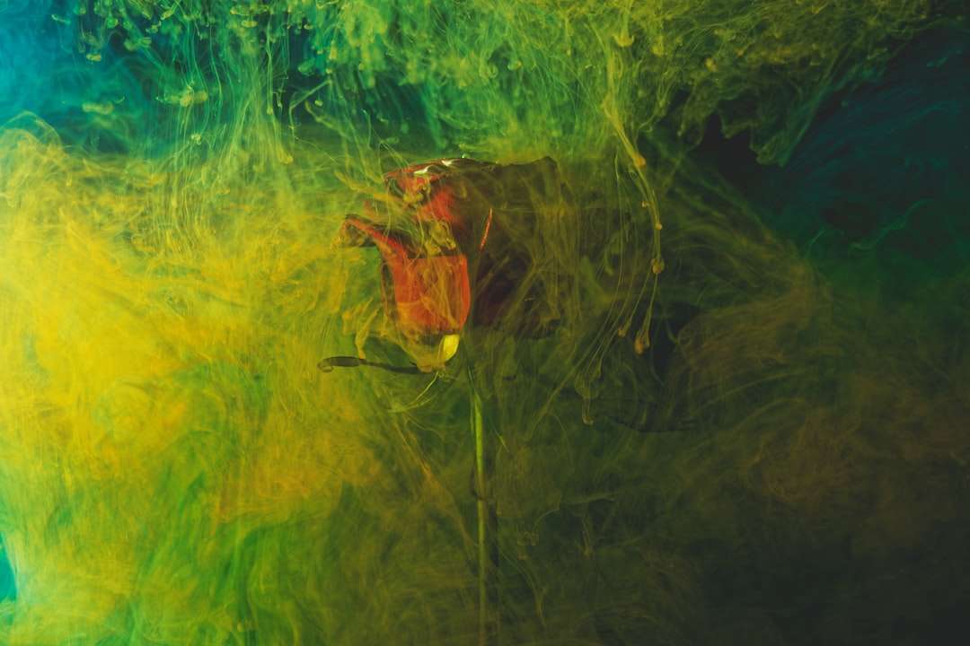 grenouille brune sur l'herbe verte puzzle en ligne
