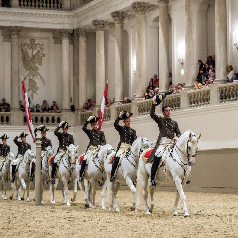 cavalos em uma escola de equitação espanhola puzzle online