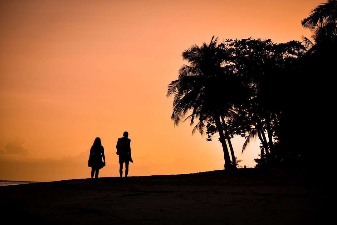 Schattenbild des Mannes und der Frau, die auf Sand während des Sonnenuntergangs stehen Puzzlespiel online