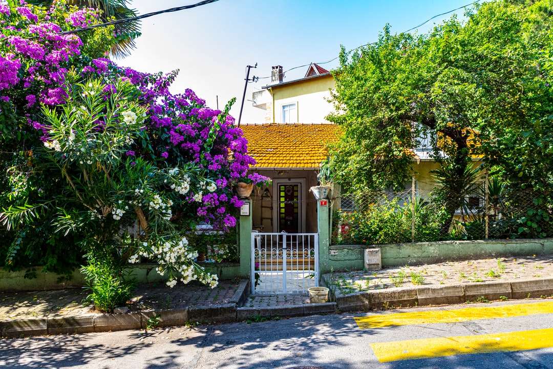 fiori viola vicino alla casa di cemento marrone durante il giorno puzzle online