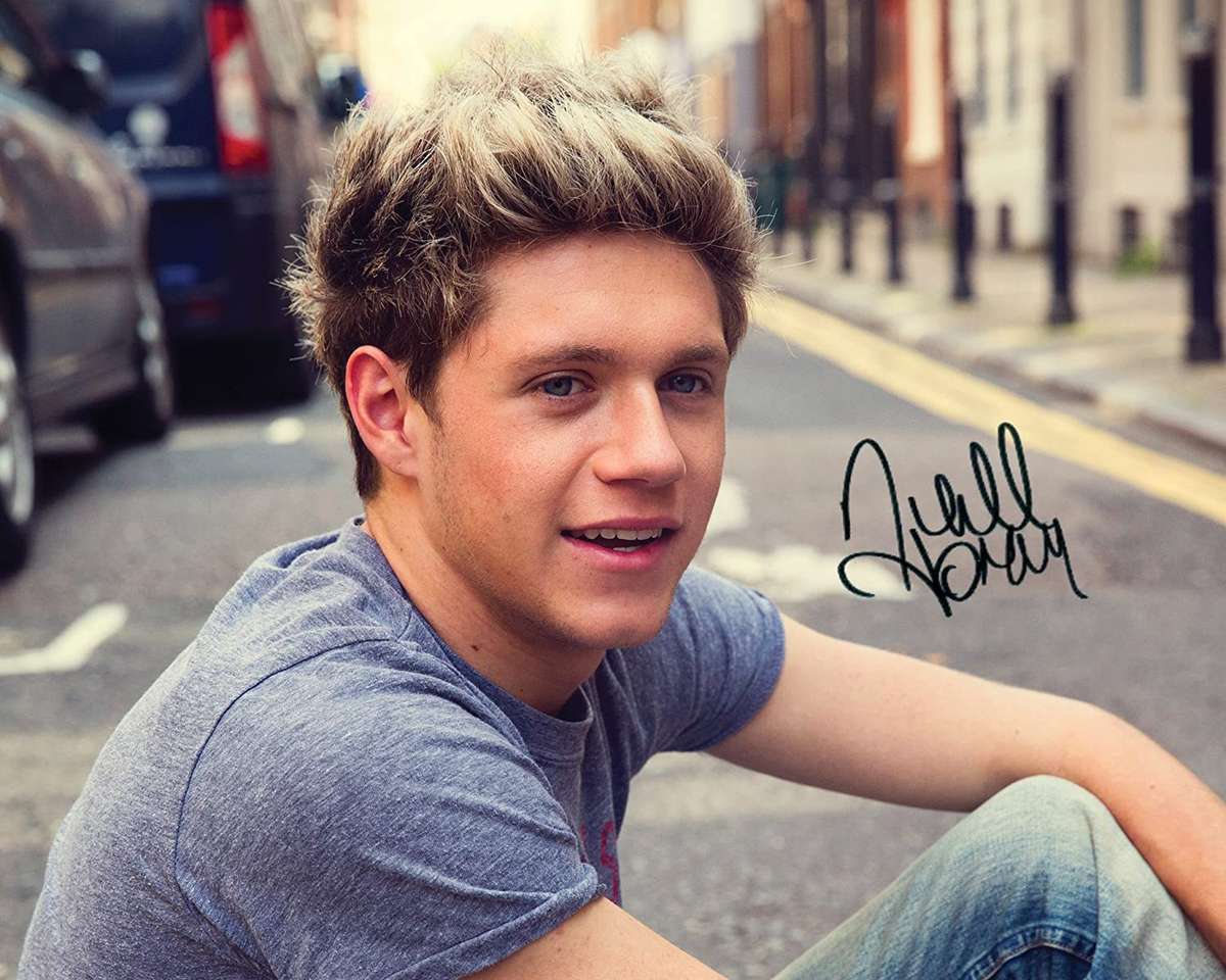 Niall Horan Online-Puzzle