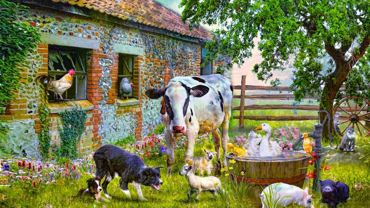 Animale domestice jigsaw puzzle online
