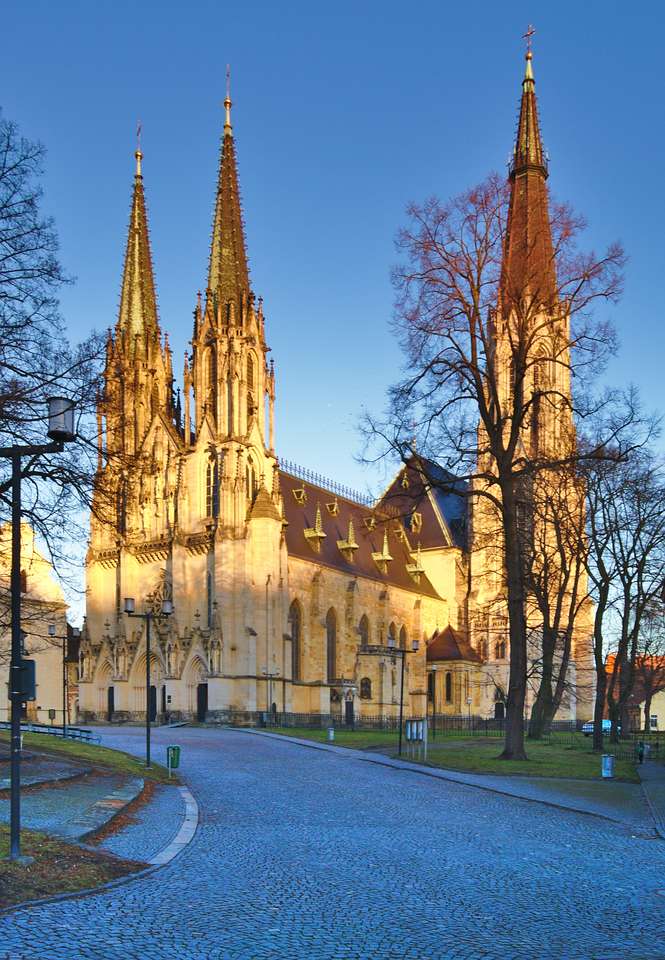 Olomouc Stankt Wenceslas Cathedral Repubblica Ceca puzzle online