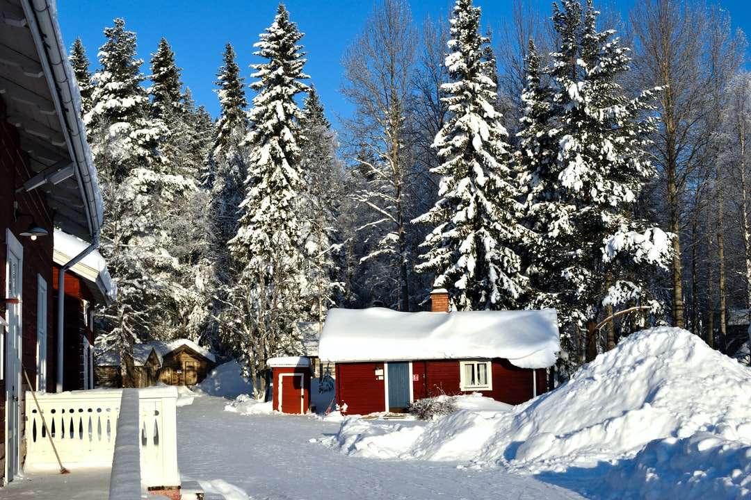 червено-бяла къща близо до зелени дървета, покрити със сняг онлайн пъзел