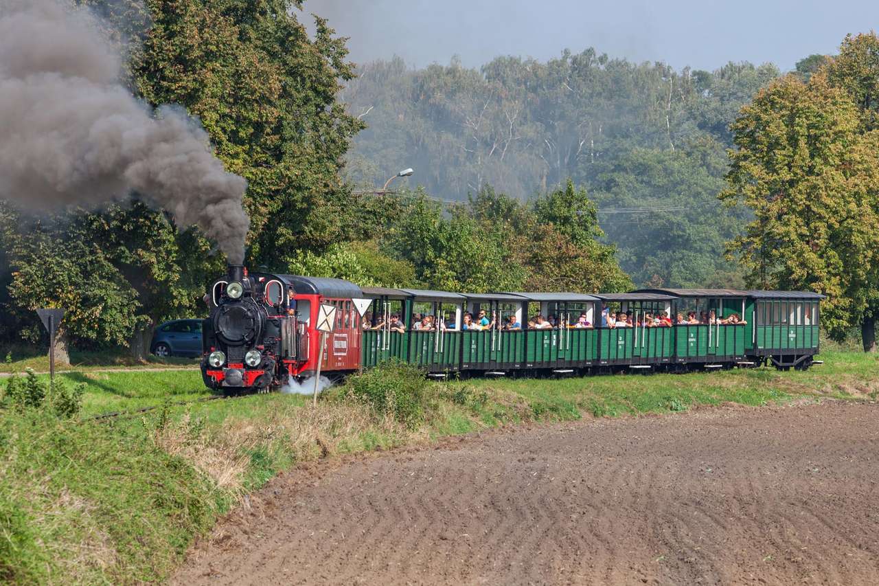 Ferrocarril de vía estrecha en Pałuki rompecabezas en línea