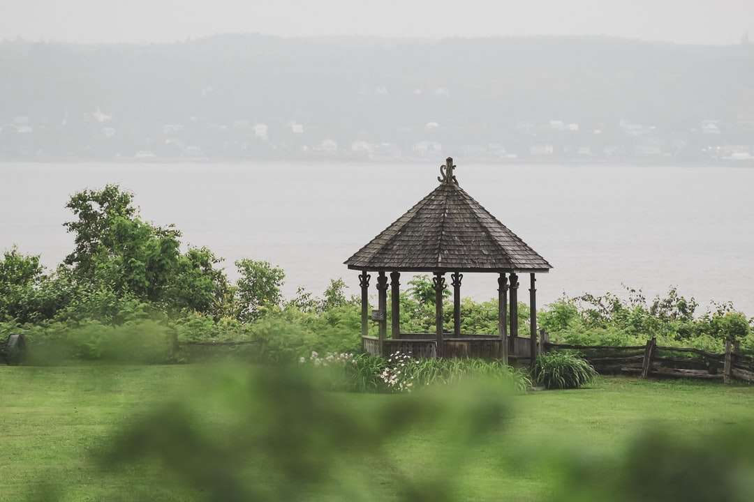 fekete fa pavilon a zöld fű mező közelében víztömeg kirakós online