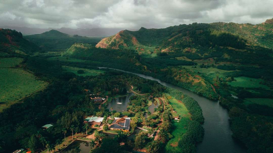vista aérea de árvores verdes e montanhas durante o dia puzzle online