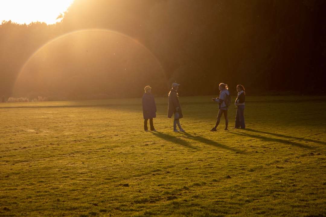 3 человека гуляют по зеленому травяному полю в дневное время онлайн-пазл