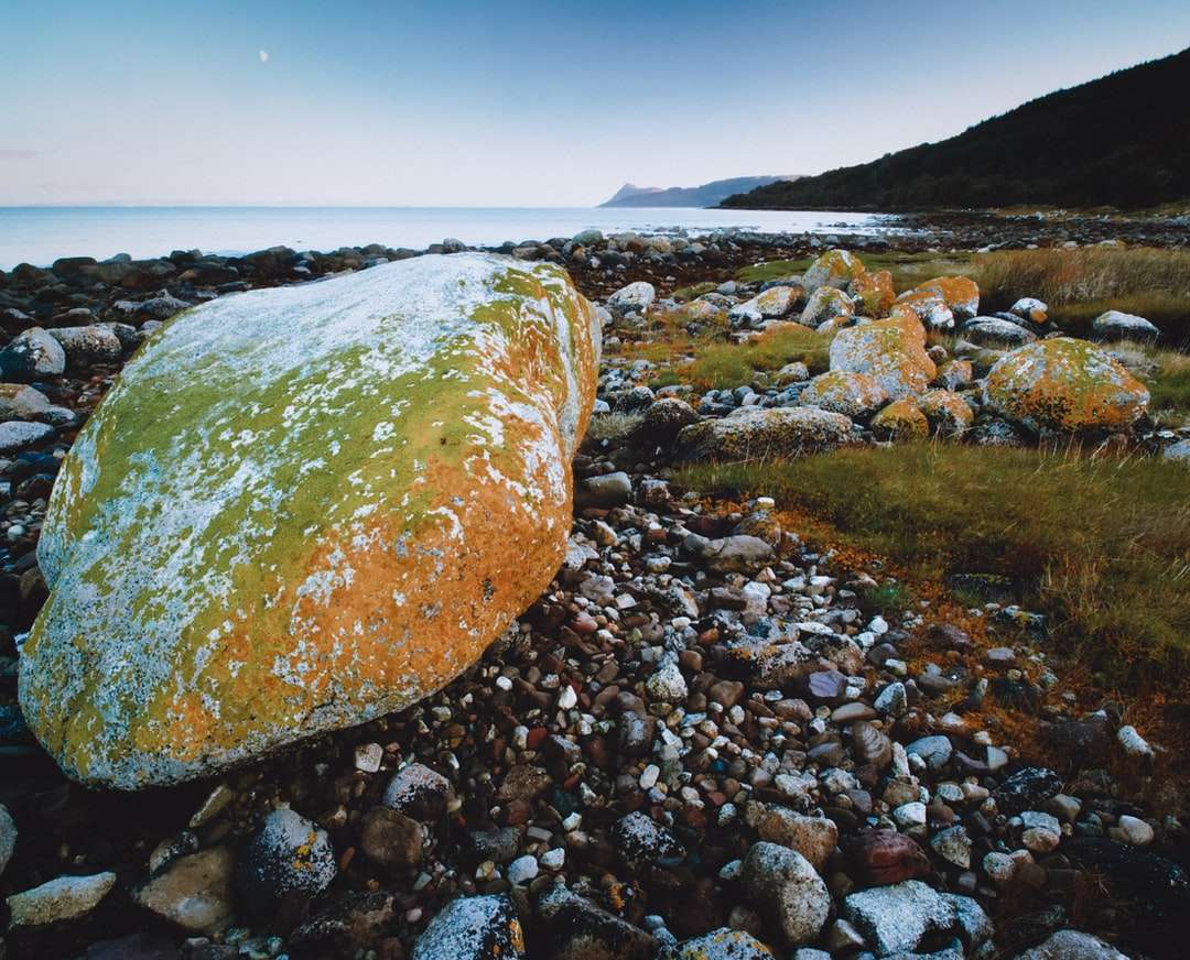 καφέ βράχος σε βραχώδη ακτή κατά τη διάρκεια της ημέρας παζλ online