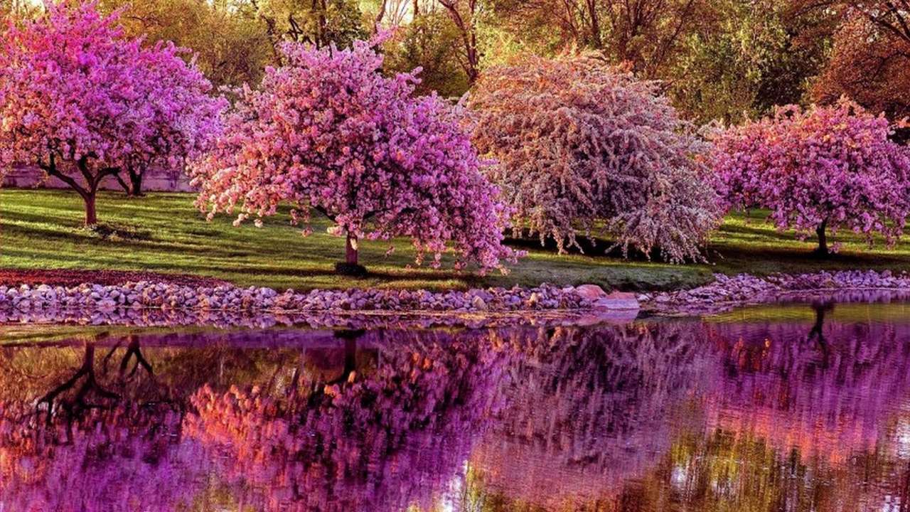 lila virágzás kirakós online