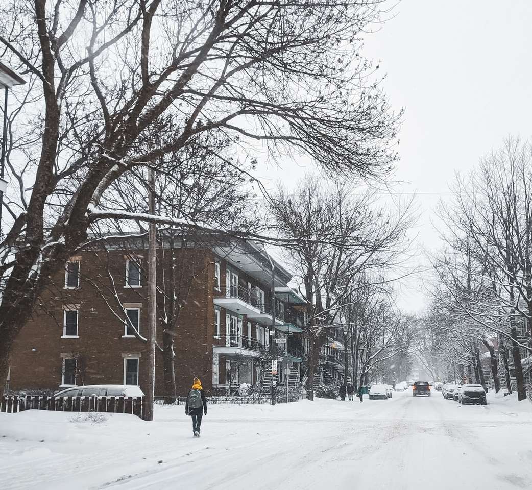 pessoa de jaqueta preta andando em estrada coberta de neve puzzle online