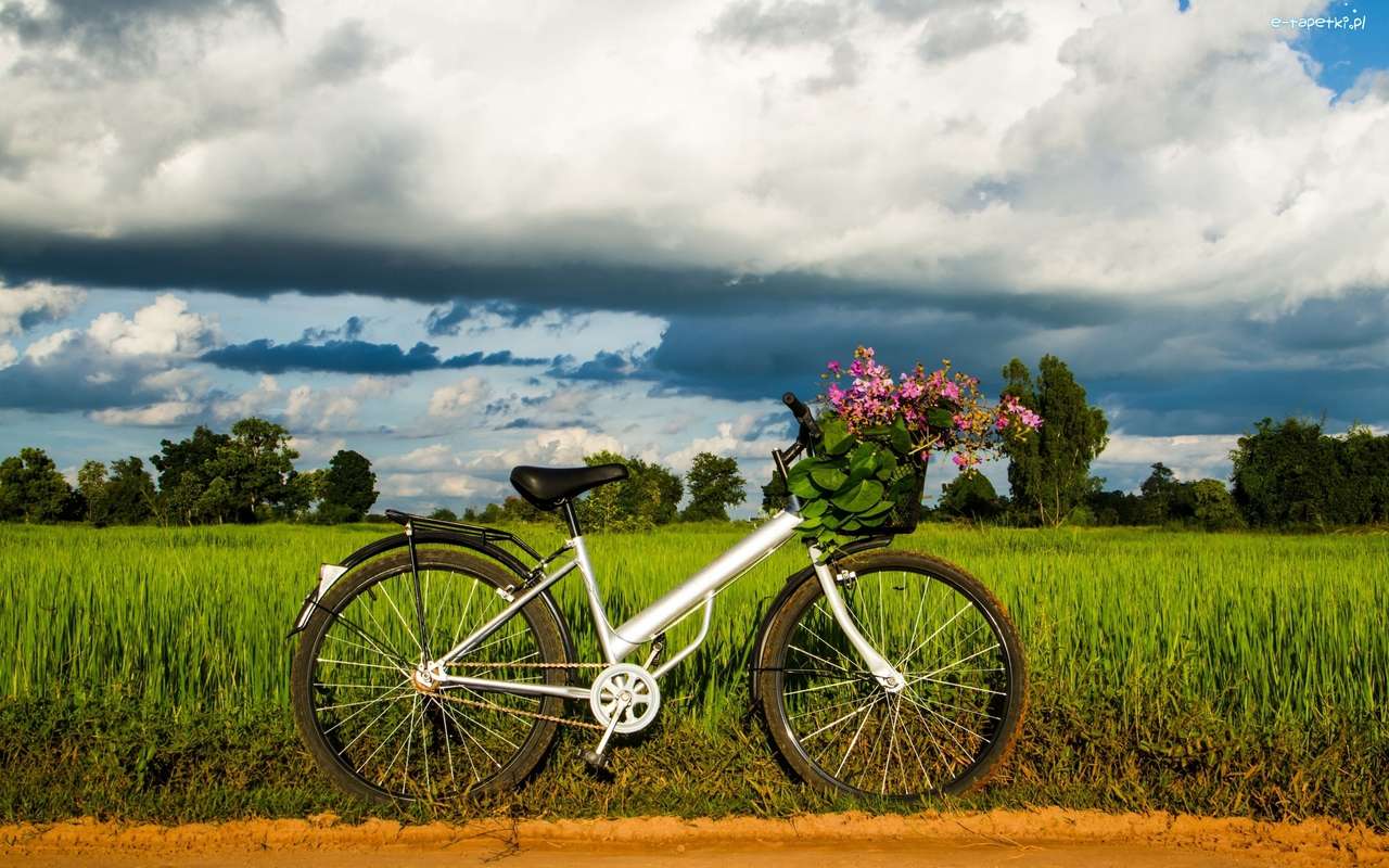 велосипед на фоне сельской местности пазл онлайн