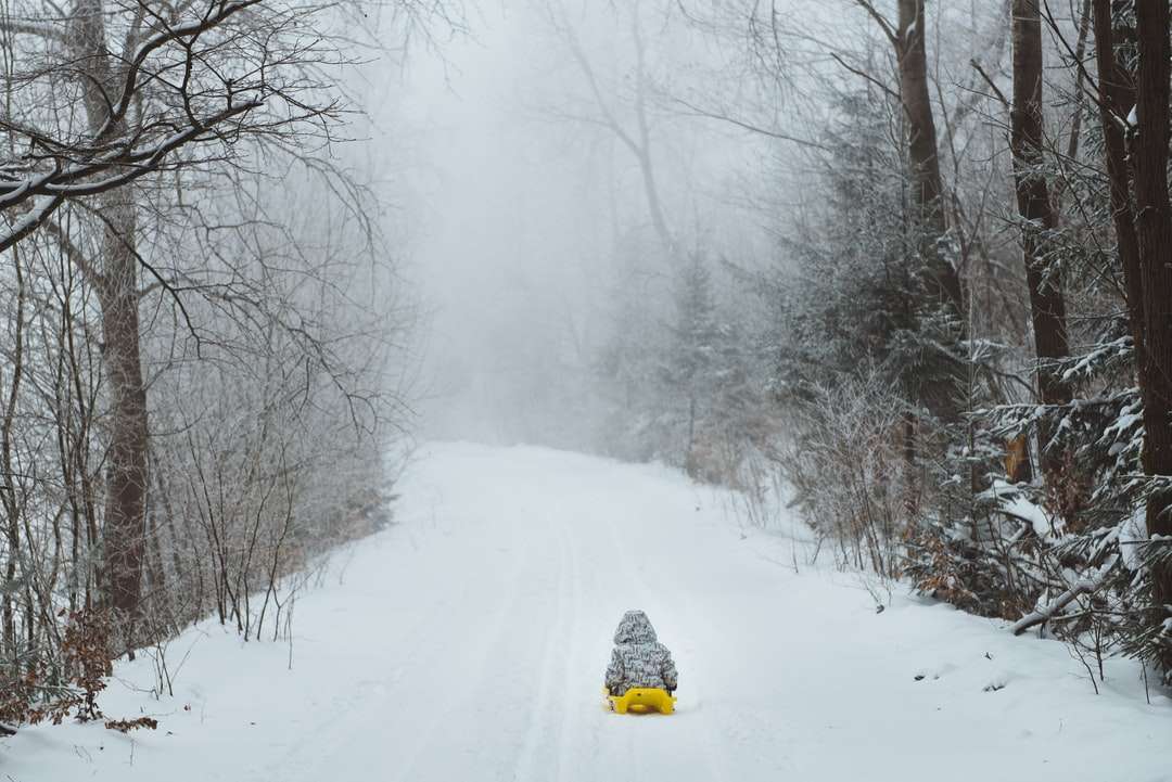 pessoa de jaqueta amarela e calça preta andando de trenó na neve puzzle online
