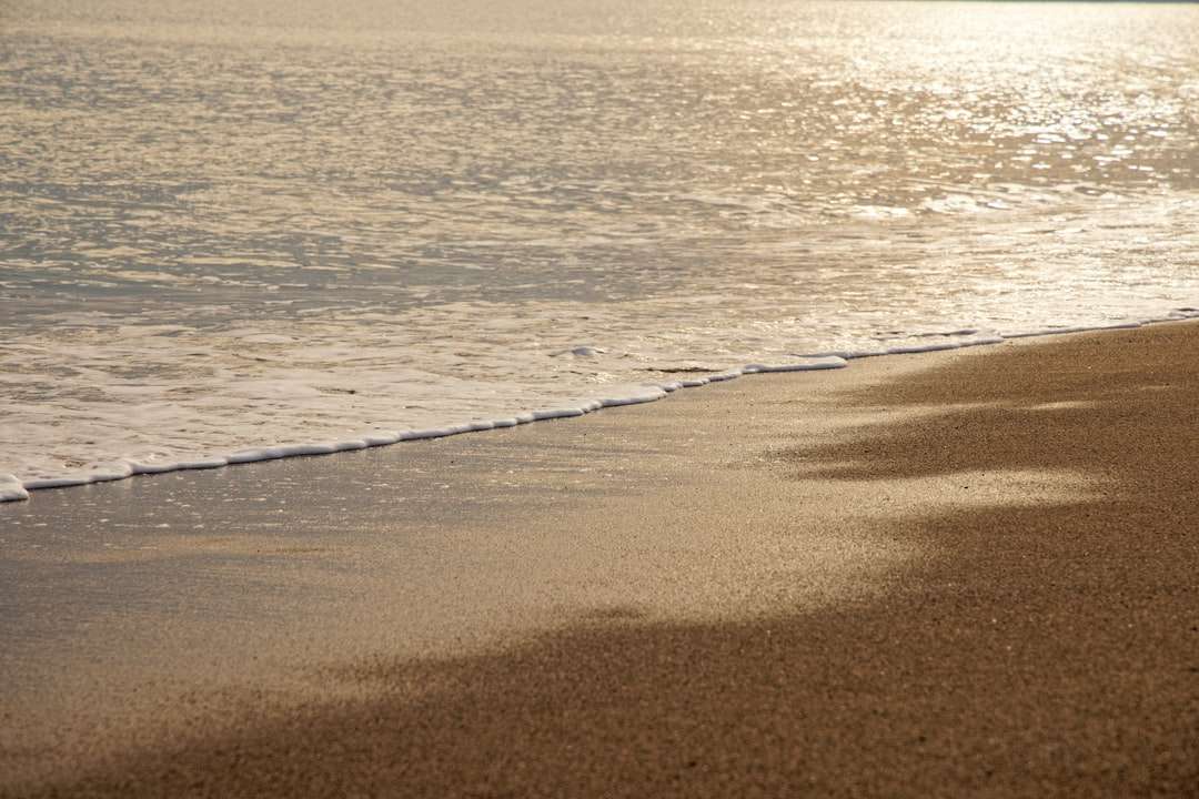 onde del mare che si infrangono sulla riva durante il giorno puzzle online