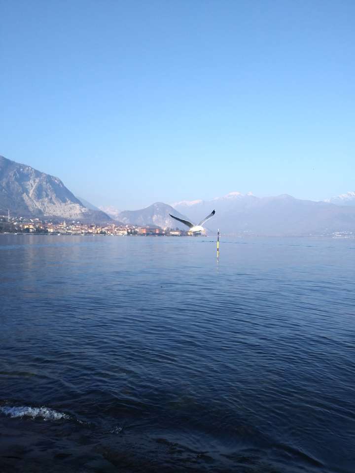 Lago Maggiore kirakós online