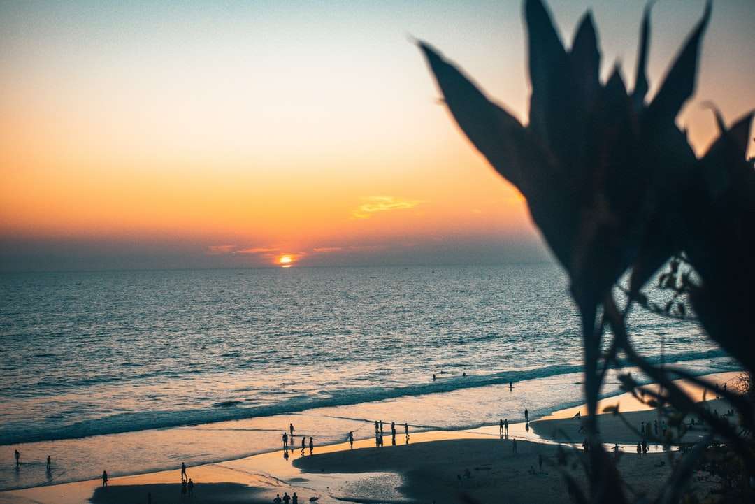日没時にビーチに立っている人のシルエット オンラインパズル