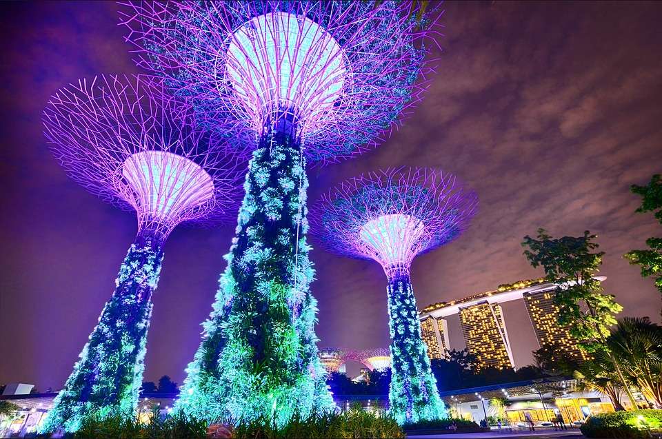 сады в сингапуре онлайн-пазл