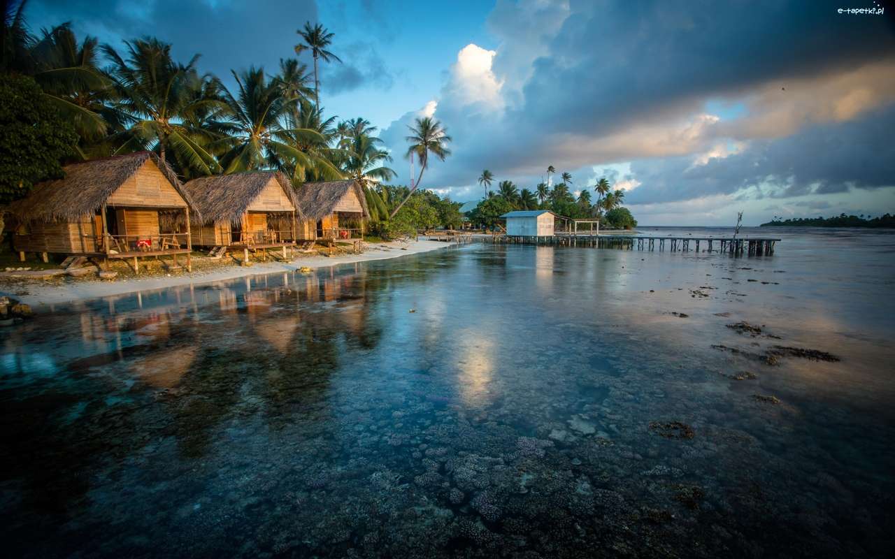 Μαλδίβες, ωκεανός, φοίνικες, εξοχικές κατοικίες online παζλ