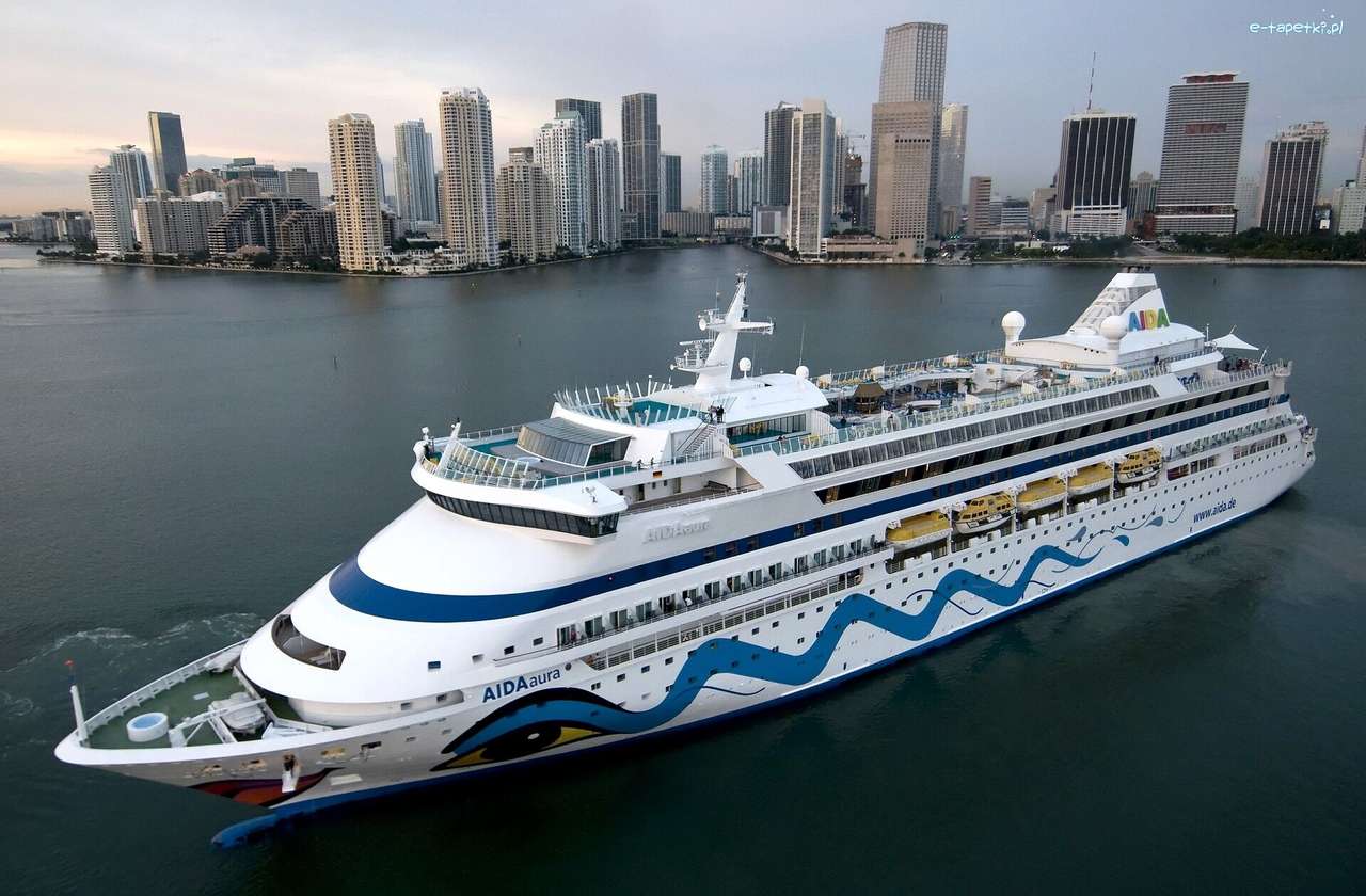 Cruise ship, City Panorama jigsaw puzzle online