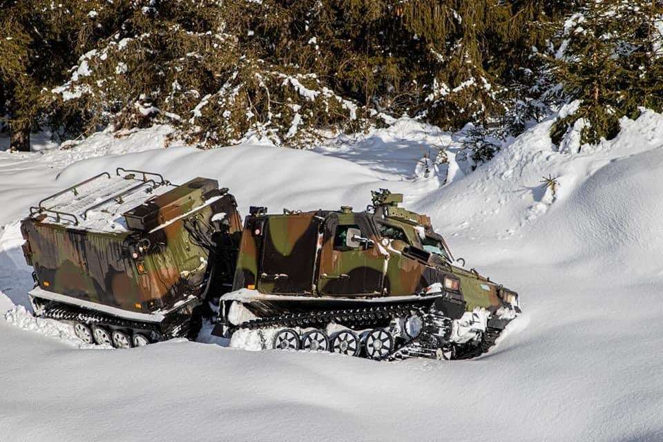 Alpini Italië Mountain Artillery online puzzel