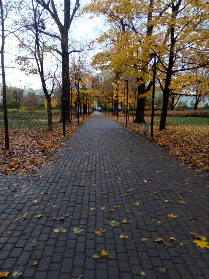 Jesien w parku online παζλ