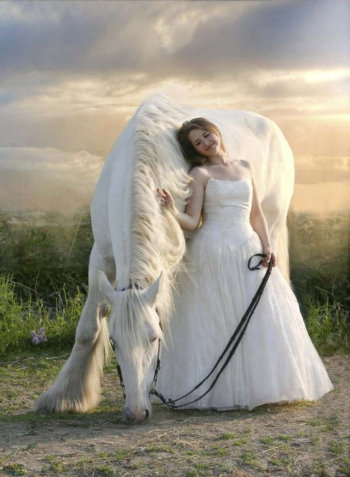Ein Mädchen in einem weißen Kleid mit einem schönen grauen Pferd! Online-Puzzle