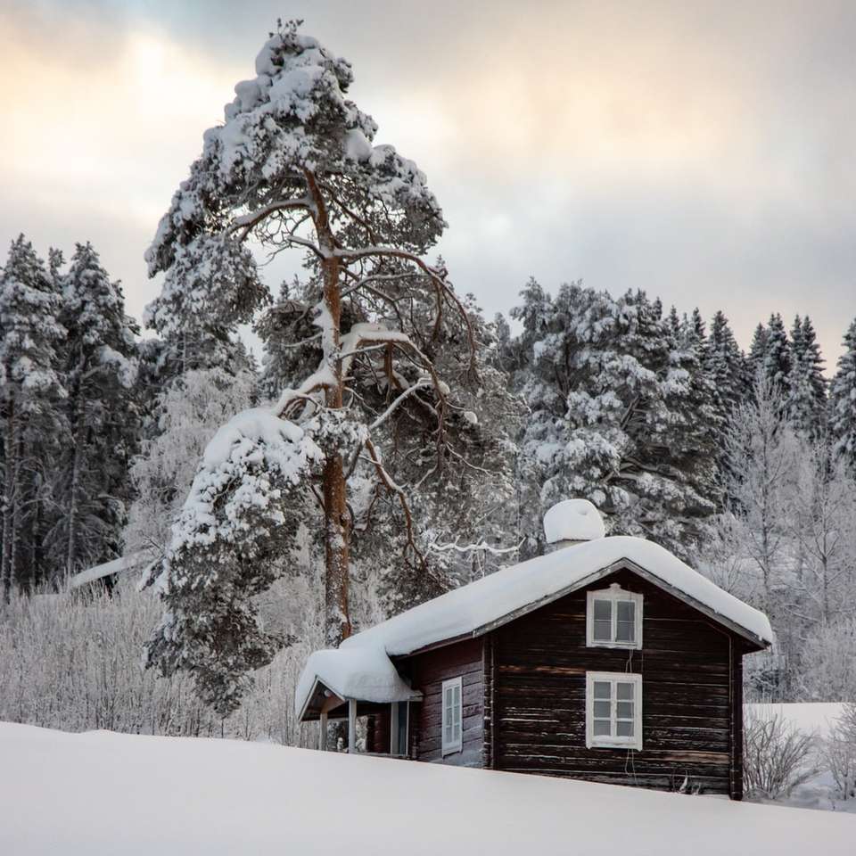 casă de lemn maro acoperită de zăpadă lângă copaci puzzle online